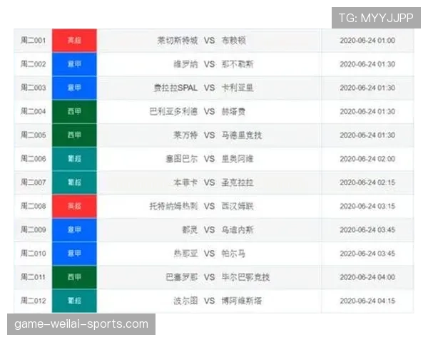 突尼斯2026世界杯阵容预测：核心球员与主帅战术解析